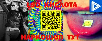 прущие грибы Новодвинск