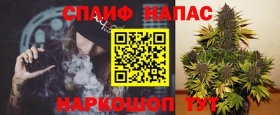 прущие грибы Новодвинск