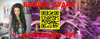 молекула духа Новокубанск