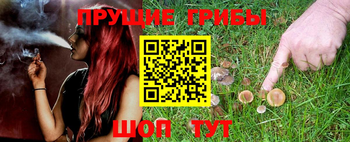 Карасук  Галлюциногенные грибы Magic Shrooms  закладка  Вход с VPN 